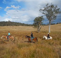 Chapman Valley Horse Riding - Tourism Noosa