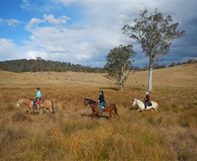 Chapman Valley Horse Riding - Tourism Noosa 0