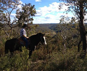 Chapman Valley Horse Riding - Tourism Noosa 2