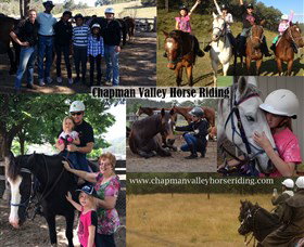 Chapman Valley Horse Riding - Tourism Noosa 5