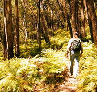 Federal Pass - Tourism Noosa