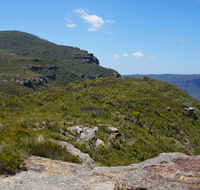 Mount Banks Road cycle route - Tourism Noosa
