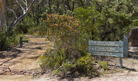 Mount Banks Road Cycle Route - Tourism Noosa 1