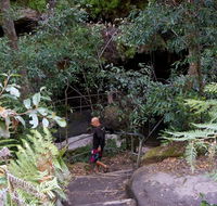 Leura Cascades Fern Bower - Tourism Noosa