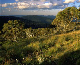 Namadgi National Park And Visitors Centre - Tourism Noosa 2