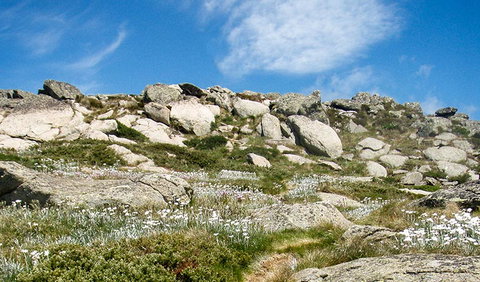 Mount Stillwell Walk - Tourism Noosa 1