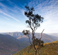 Salisbury Waters walking track - Tourism Noosa