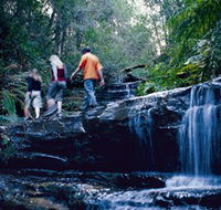 South Lawson Waterfall Circuit - Tourism Noosa