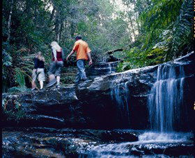 South Lawson Waterfall Circuit - Tourism Noosa 0