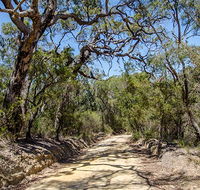 Howes trail - Tourism Noosa