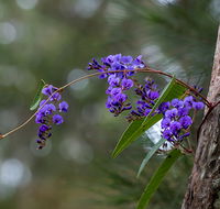 Mann River Nature Reserve - Tourism Noosa