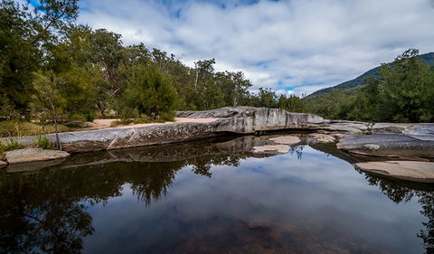 Mann River Nature Reserve - Tourism Noosa 3