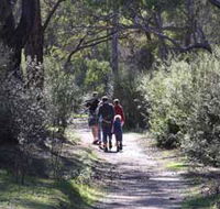 Syd's Rapids and Aboriginal Heritage Trail Avon Valley - Tourism Noosa