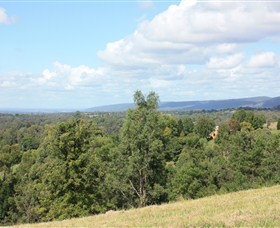 Kurrajong Village - Tourism Noosa 1