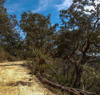 Parr State Conservation Area - Tourism Noosa