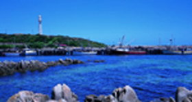 King Island TAS Tourism Noosa