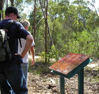 Finchley cultural walk - Tourism Noosa