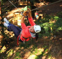 Trees Adventure Grose River Park