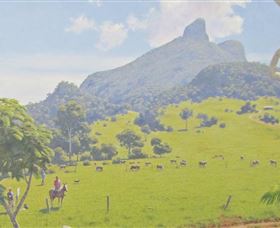 Aitkens Australia In The Round - Tourism Noosa 2