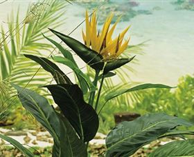 Aitkens Australia In The Round - Tourism Noosa 0