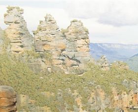 Aitkens Australia In The Round - Tourism Noosa 1