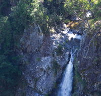 Lyrebird Falls walking track - Tourism Noosa