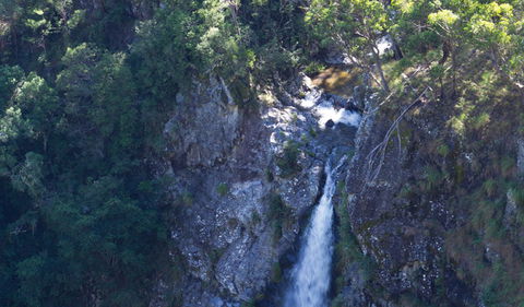 Lyrebird Falls Walking Track - Tourism Noosa 0