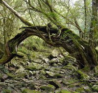 Mitchell River National Park - Tourism Noosa