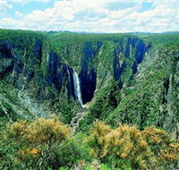 Wollomombi Falls - Tourism Noosa