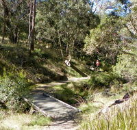 Wollomombi walking track - Tourism Noosa