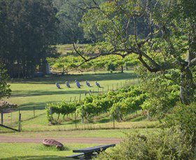 Wollombi Wines - Tourism Noosa 8