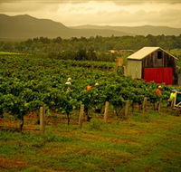 Around Hermitage Wine and Food Trail Hunter Valley - Tourism Noosa