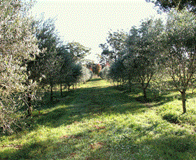 Langdale Farm - Tourism Noosa