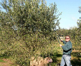 Langdale Farm - Tourism Noosa 3