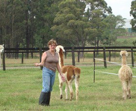 Langdale Farm - Tourism Noosa 4