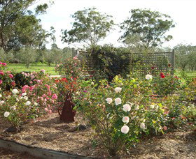 Langdale Farm - Tourism Noosa 6