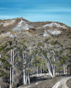 Greg Wilson Gallery - Tourism Noosa 2