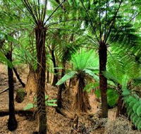 Pegarah Private Nature Reserve  Parenna Place - Tourism Noosa