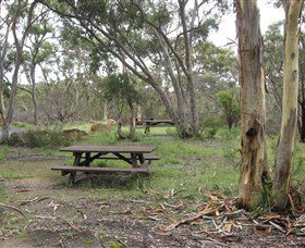 Box Vale Picnic Area - Tourism Noosa 2