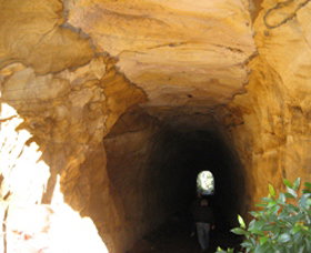 Box Vale Picnic Area - Tourism Noosa 1
