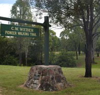 Pioneer Country Park - Tourism Noosa