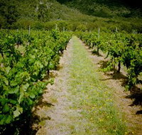 Gartelmann Wines - Tourism Noosa