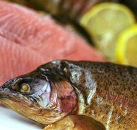 Lovedale Smokehouse Gourmet Pantry Cafe and Masterclasses - Tourism Noosa