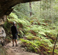 Dharug National Park - Tourism Noosa