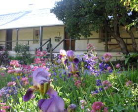 Raglan Gallery And Cultural Centre - Tourism Noosa 0