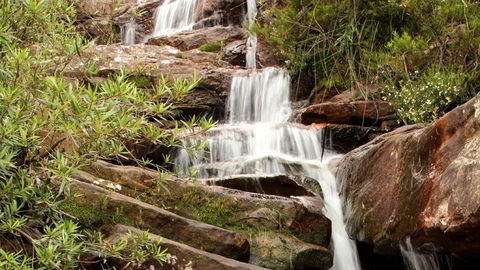 Popran National Park - Tourism Noosa 1