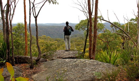 Mount Olive Lookout - Tourism Noosa 1