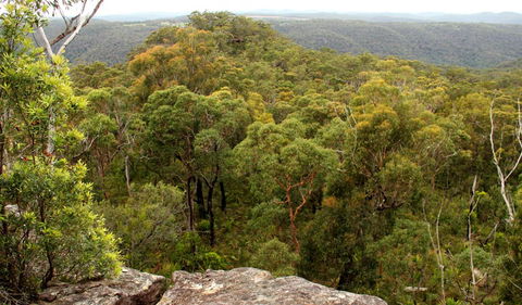 Mount Olive Lookout - Tourism Noosa 0