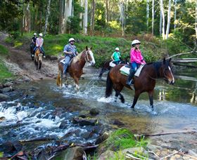 Glenworth Valley Horse Riding - Tourism Noosa 1