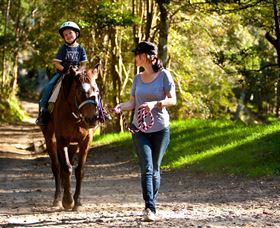 Glenworth Valley Horse Riding - Tourism Noosa 3